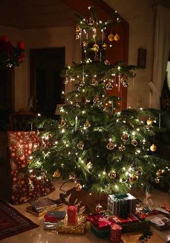 Birthday Christmas ​Anniversary or Graduation - It Happens. Last Minute Holiday Gift Ideas: Christmas Tree