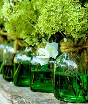 Witchy Glass Potion Spell Bottles and Jars: Flower vase